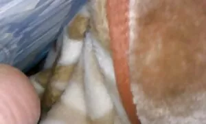 هدیه ای برای ایجاد لزبین عکس سکس کس