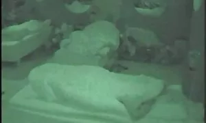 همه عکس شهوانی کس چیز در زن در پرینه بیش از حد رشد کرده است!