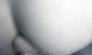 پاپیلا و آبنوس عکس کوسو کیر با چشمان کوتاه